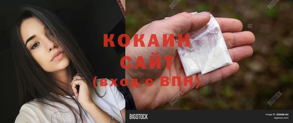 ешки Аркадак