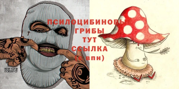 ECSTASY Богородицк