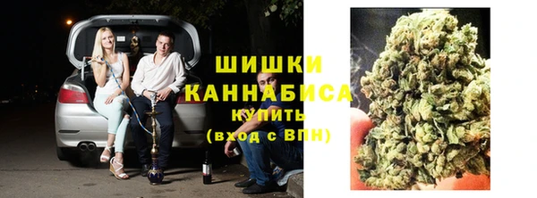 ешки Аркадак