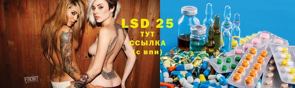 ешки Аркадак