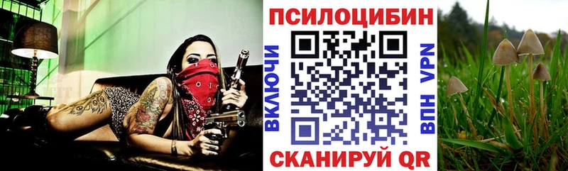 Галлюциногенные грибы прущие грибы Спасск-Дальний