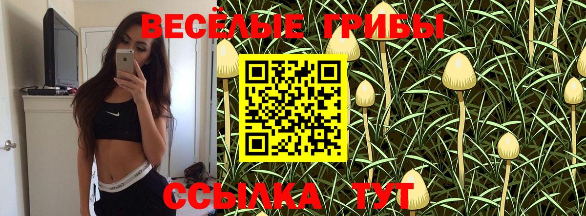 Псилоцибиновые грибы прущие грибы Спасск-Дальний