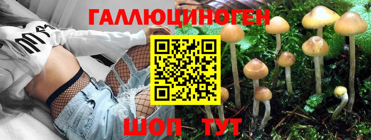 Псилоцибиновые грибы Cubensis  Галлюциногенные грибы мицелий  Спасск-Дальний  Вход с VPN 